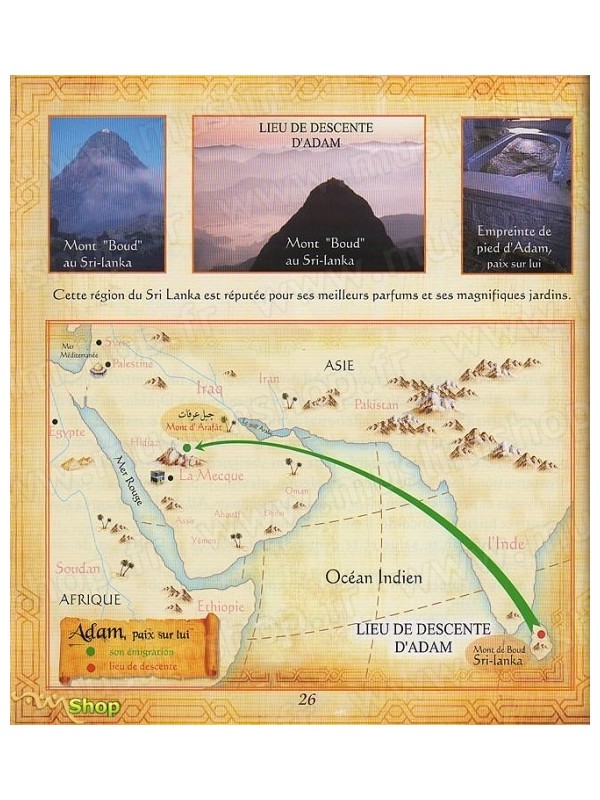Les Histoires des Prophètes racontées par le Coran - Tome 1 : Adam, Noe et Idriss