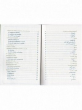La terminologie du hadith