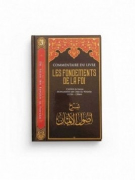 Commentaire du livre les...