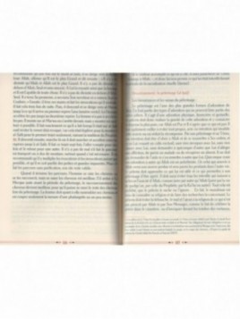 L'islam pour les débutants