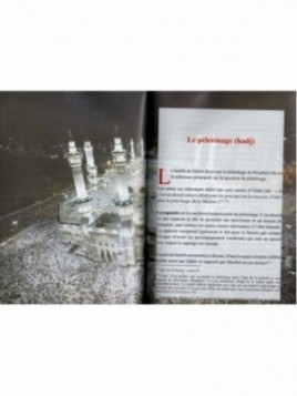 Bréviaire [de jurisprudence] à l'usage des étudiants [en sciences religieuses]