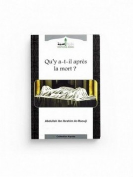 Qu'y-a-t'il après la mort ?...