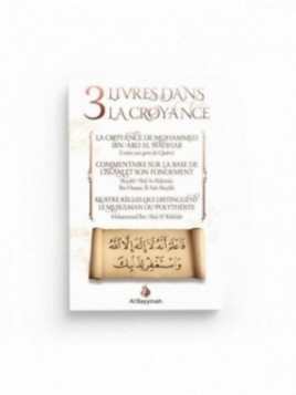 3 Livres dans la croyance -...