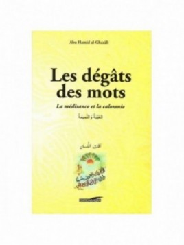 Les Dégâts Des Mots, La...