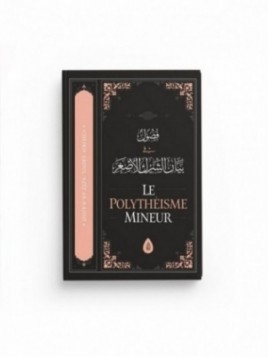 Le polythéisme mineur -...