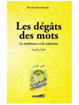 Les dégâts des mots - La...